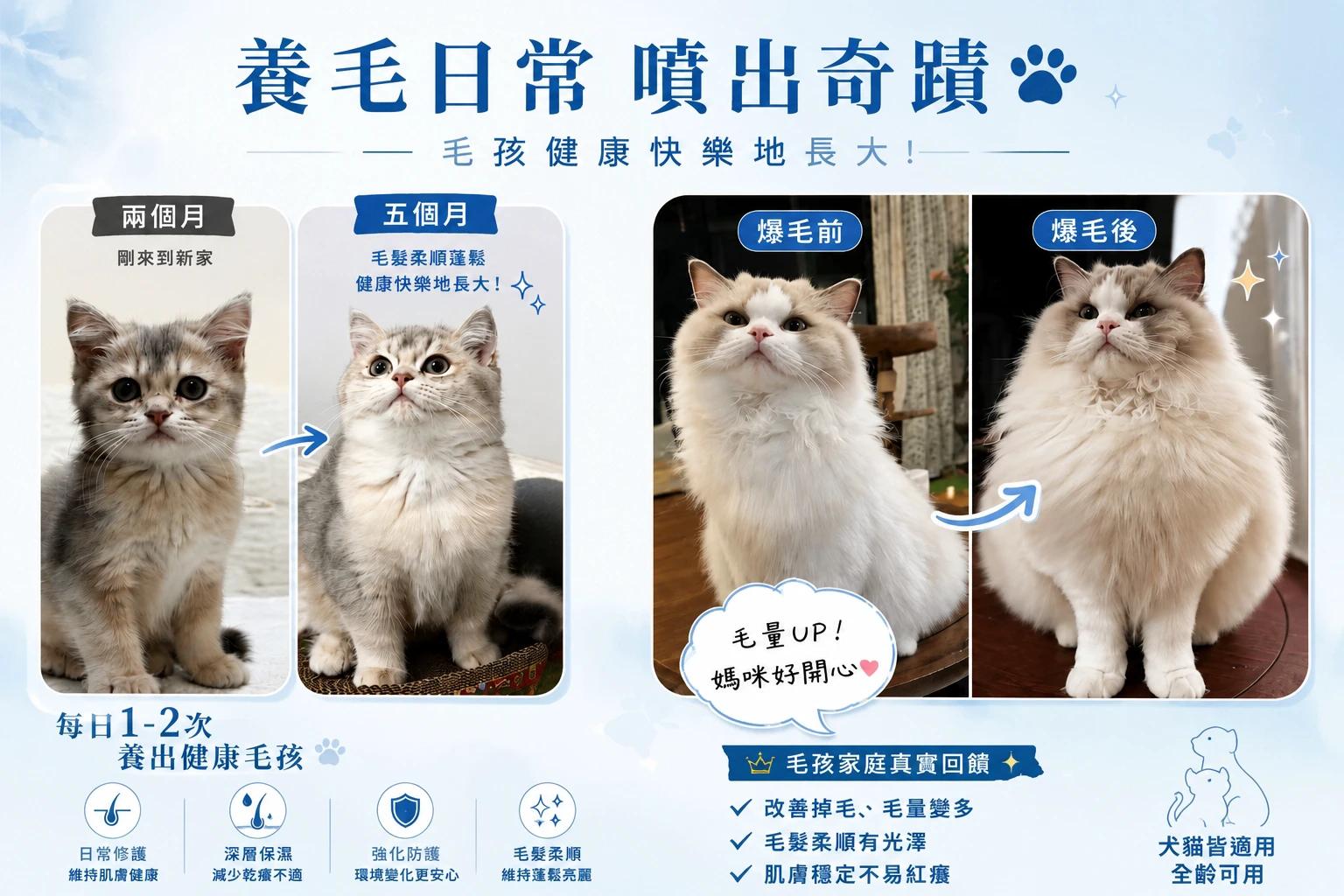 義犬將軍寵物犀利修護噴霧體驗組(1瓶)-5