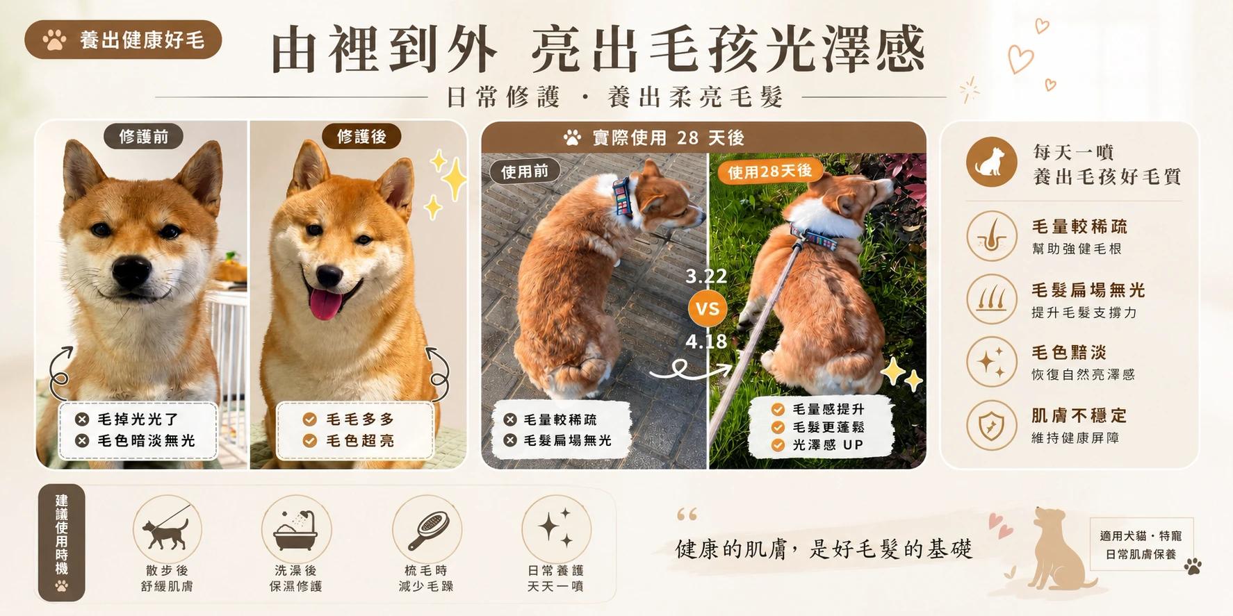 義犬將軍寵物犀利修護噴霧體驗組(1瓶)-6