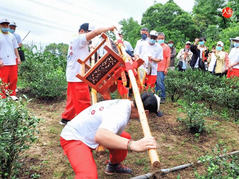 迎尪公巡田園-8